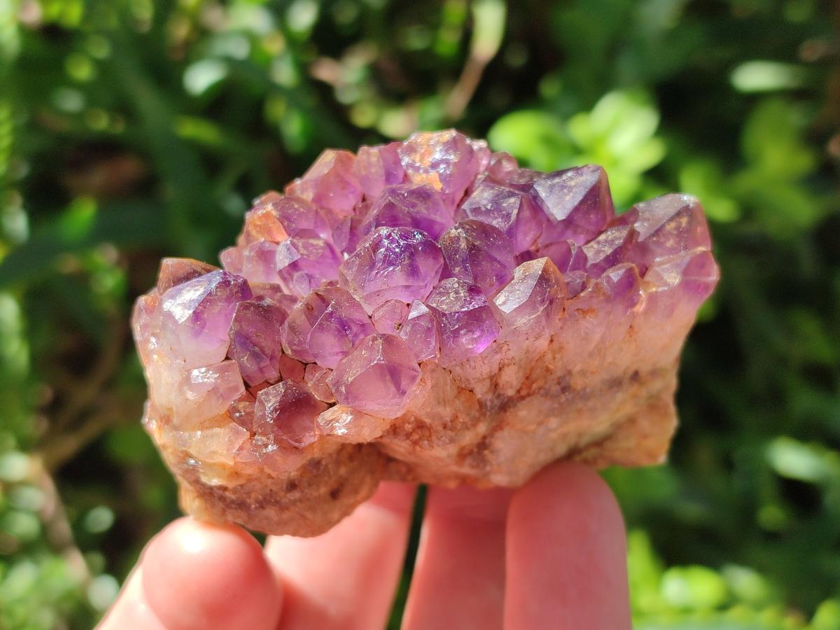 Natural Dark Amethyst Clusters x 24 From Mapatizya, Zambia