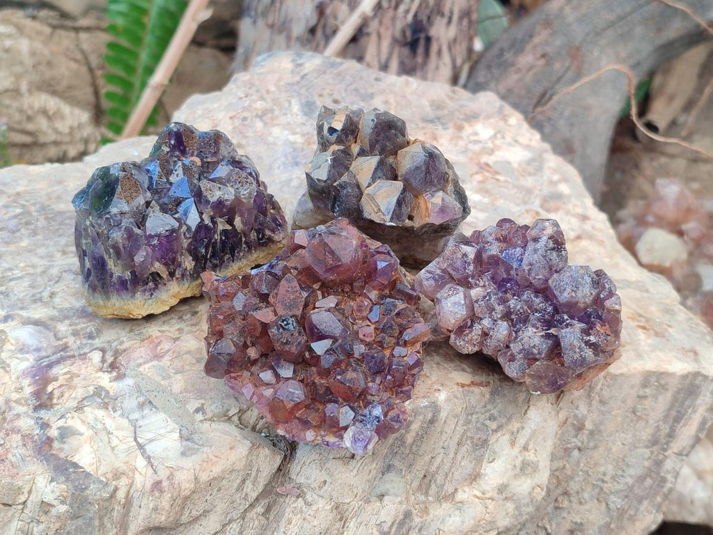 Natural Dark Amethyst Clusters x 24 From Mapatizya, Zambia