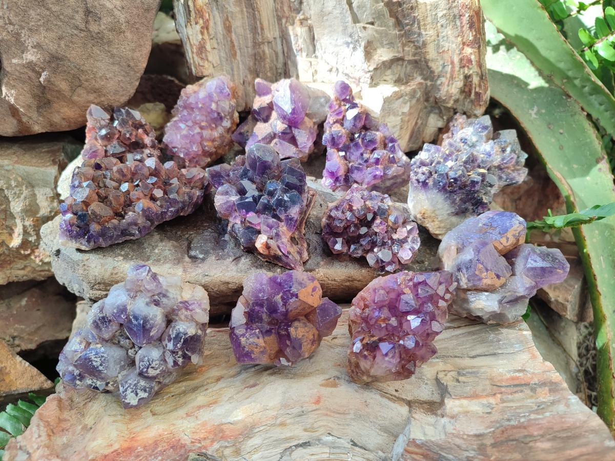 Natural Dark Amethyst Clusters x 24 From Mapatizya, Zambia