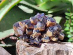 Natural Dark Amethyst Clusters x 24 From Mapatizya, Zambia