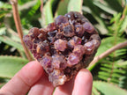 Natural Dark Amethyst Clusters x 24 From Mapatizya, Zambia