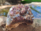 Natural Dark Amethyst Clusters x 24 From Mapatizya, Zambia