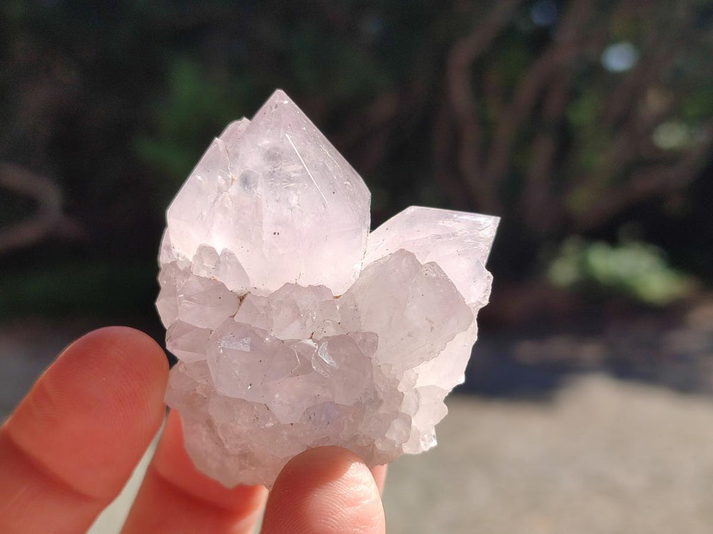 Natural Mixed Spirit Quartz Crystals and Clusters x 24 From Boekenhouthoek, South Africa