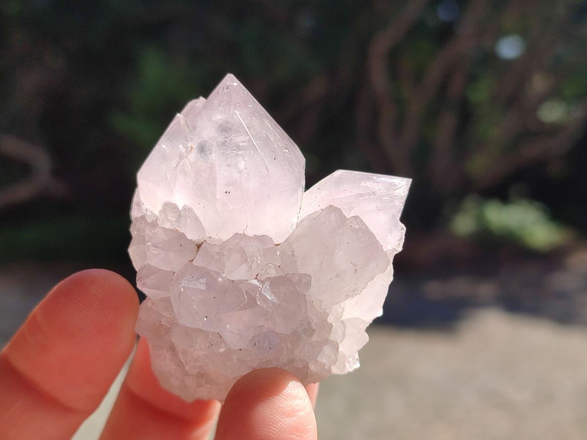 Natural Mixed Spirit Quartz Crystals and Clusters x 24 From Boekenhouthoek, South Africa