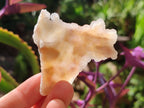 Natural Mixed Spirit Quartz Crystals and Clusters x 24 From Boekenhouthoek, South Africa