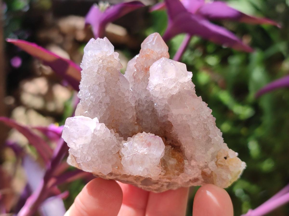 Natural Mixed Spirit Quartz Crystals and Clusters x 24 From Boekenhouthoek, South Africa