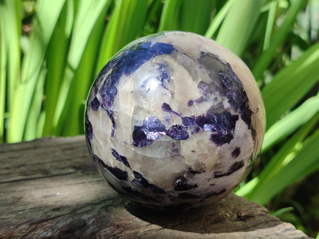 Polished Silver Leaf Lepidolite Spheres x 2 From Zimbabwe