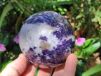 Polished Silver Leaf Lepidolite Spheres x 2 From Zimbabwe