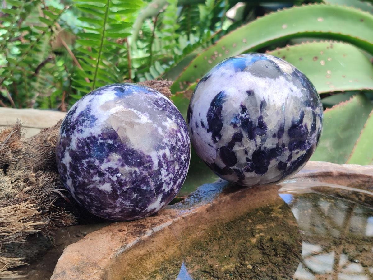 Polished Silver Leaf Lepidolite Spheres x 2 From Zimbabwe