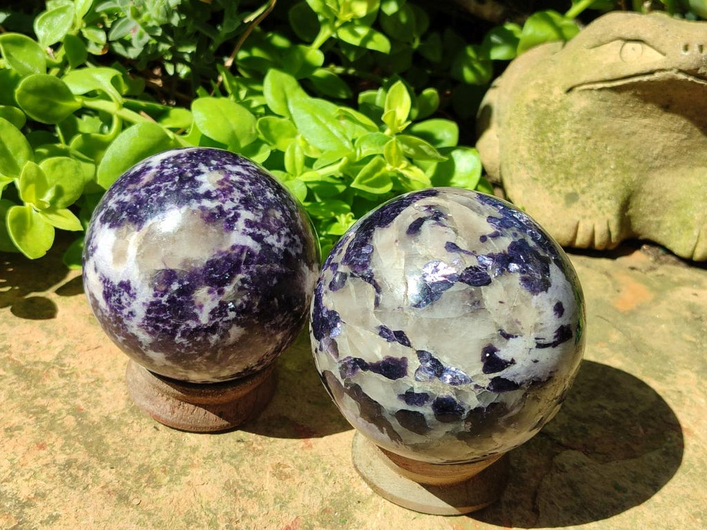 Polished Silver Leaf Lepidolite Spheres x 2 From Zimbabwe