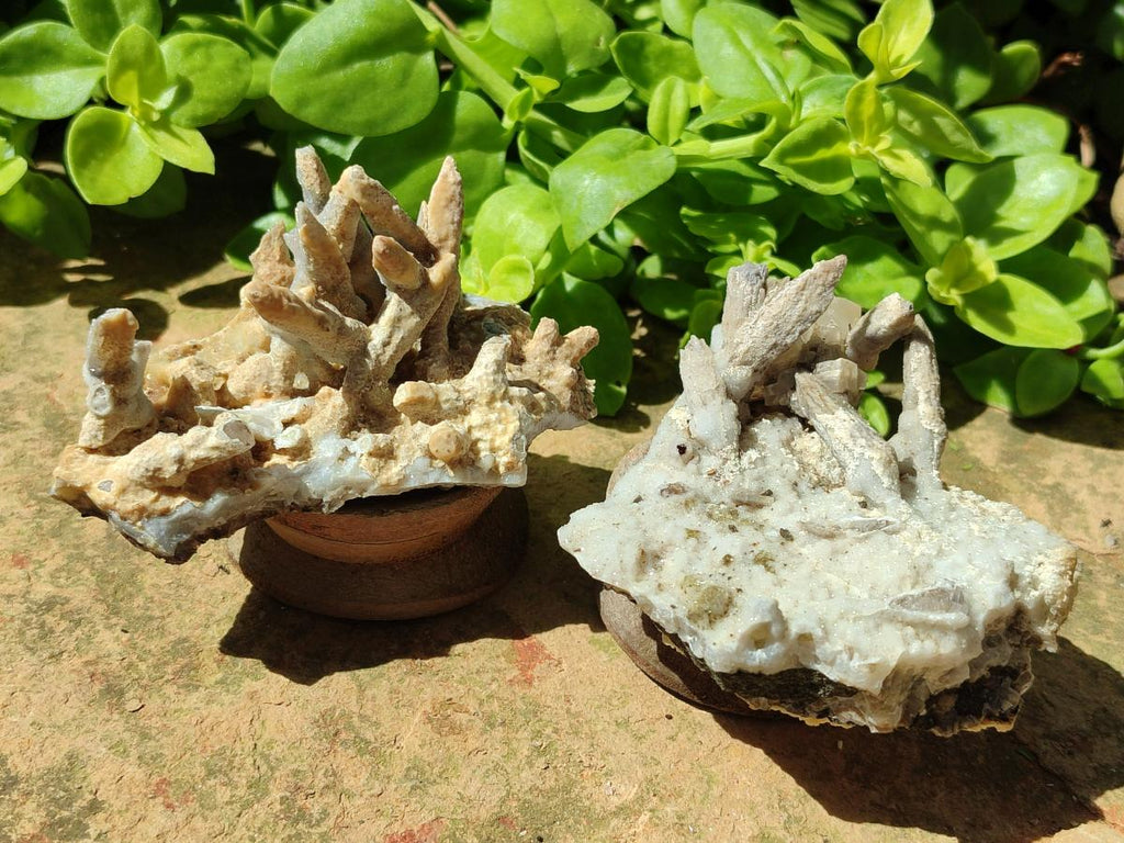 Natural Spearhead Calcite Clusters with Phosphorus Aragonite x 6 From Albert's Mountain, Lesotho