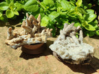 Natural Spearhead Calcite Clusters with Phosphorus Aragonite x 6 From Albert's Mountain, Lesotho
