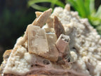 Natural Spearhead Calcite Clusters with Phosphorus Aragonite x 6 From Albert's Mountain, Lesotho