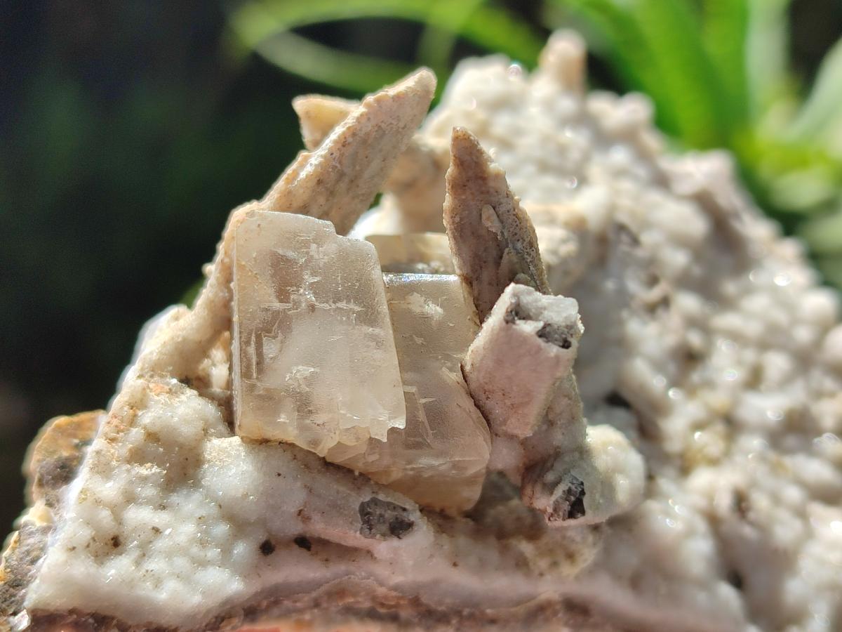 Natural Spearhead Calcite Clusters with Phosphorus Aragonite x 6 From Albert's Mountain, Lesotho