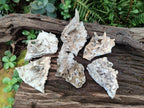 Natural Spearhead Calcite Clusters with Phosphorus Aragonite x 6 From Albert's Mountain, Lesotho