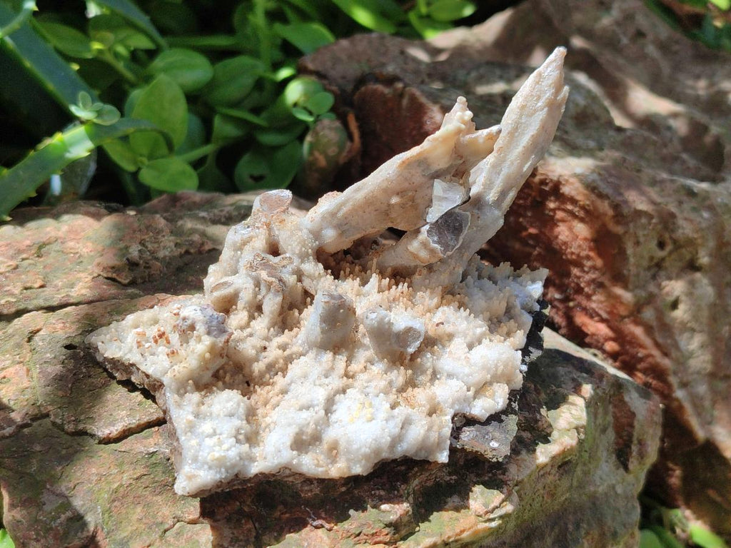 Natural Spearhead Calcite Clusters with Phosphorus Aragonite x 6 From Albert's Mountain, Lesotho