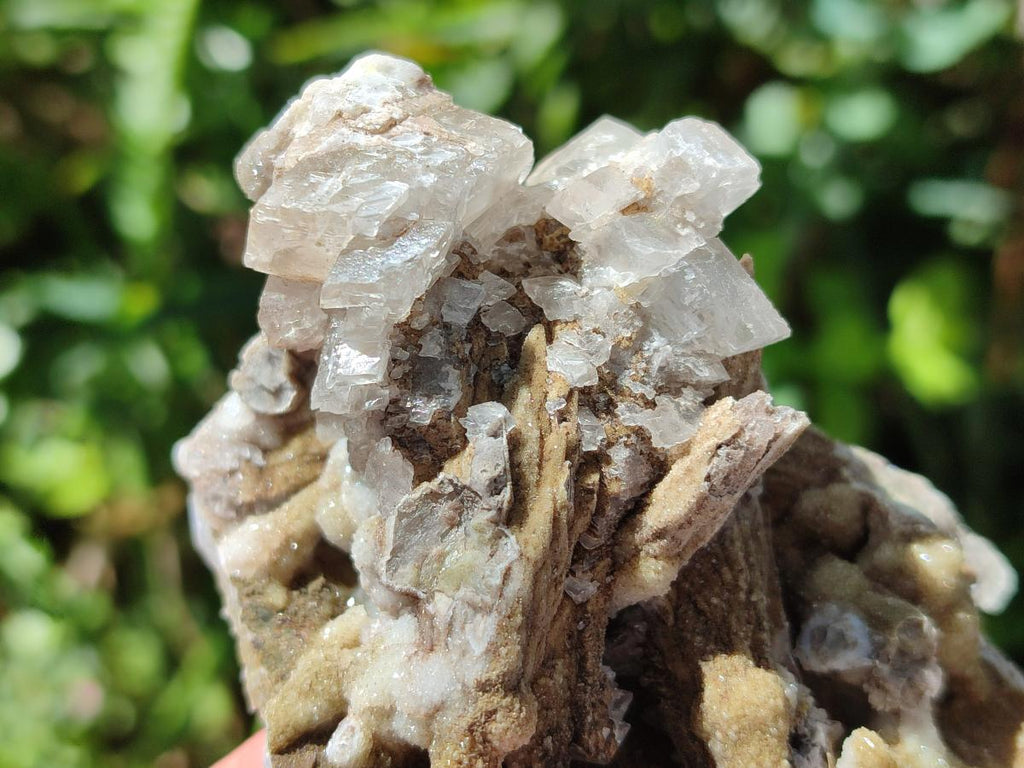 Natural Spearhead Calcite Clusters with Phosphorus Aragonite x 6 From Albert's Mountain, Lesotho