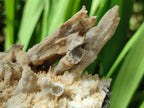 Natural Spearhead Calcite Clusters with Phosphorus Aragonite x 6 From Albert's Mountain, Lesotho