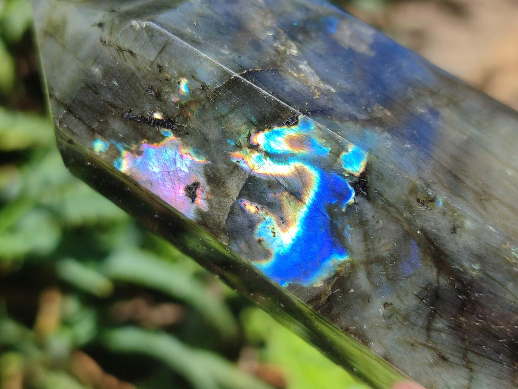 Polished Labradorite Display Crystals x 3 From Madagascar
