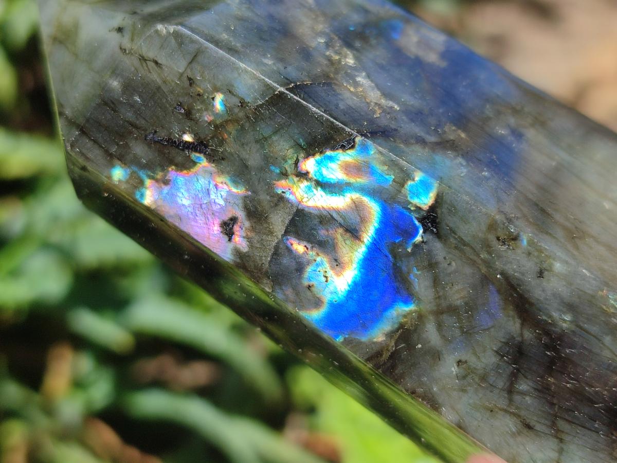 Polished Labradorite Display Crystals x 3 From Madagascar