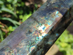Polished Labradorite Display Crystals x 3 From Madagascar