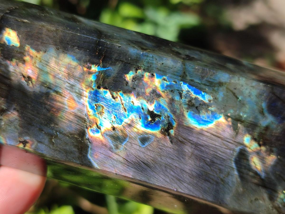 Polished Labradorite Display Crystals x 3 From Madagascar