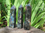 Polished Labradorite Display Crystals x 3 From Madagascar