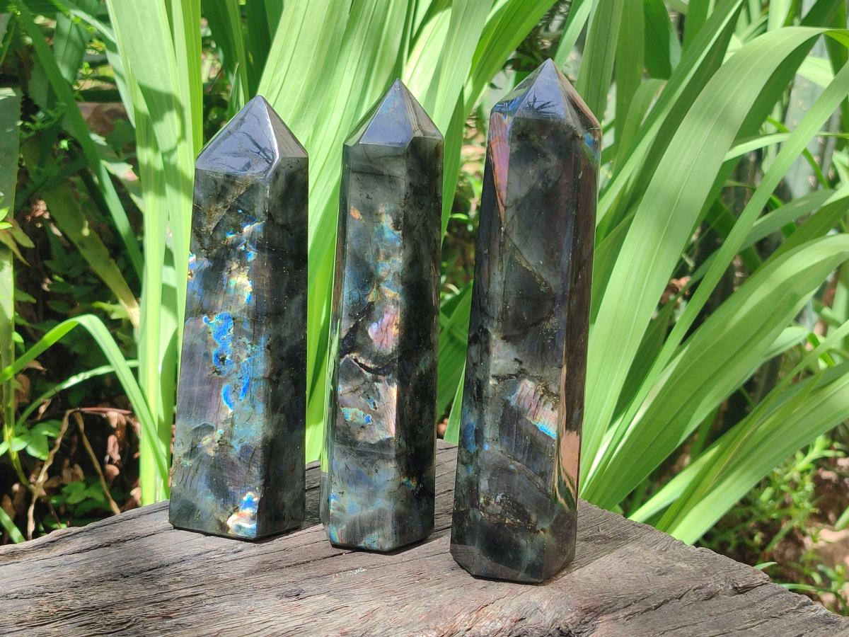 Polished Labradorite Display Crystals x 3 From Madagascar