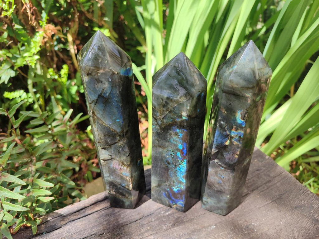 Polished Labradorite Display Crystals x 3 From Madagascar