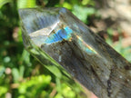 Polished Labradorite Display Crystals x 3 From Madagascar