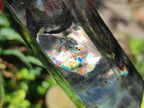 Polished Labradorite Display Crystals x 3 From Madagascar