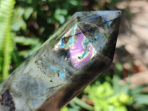 Polished Labradorite Display Crystals x 3 From Madagascar