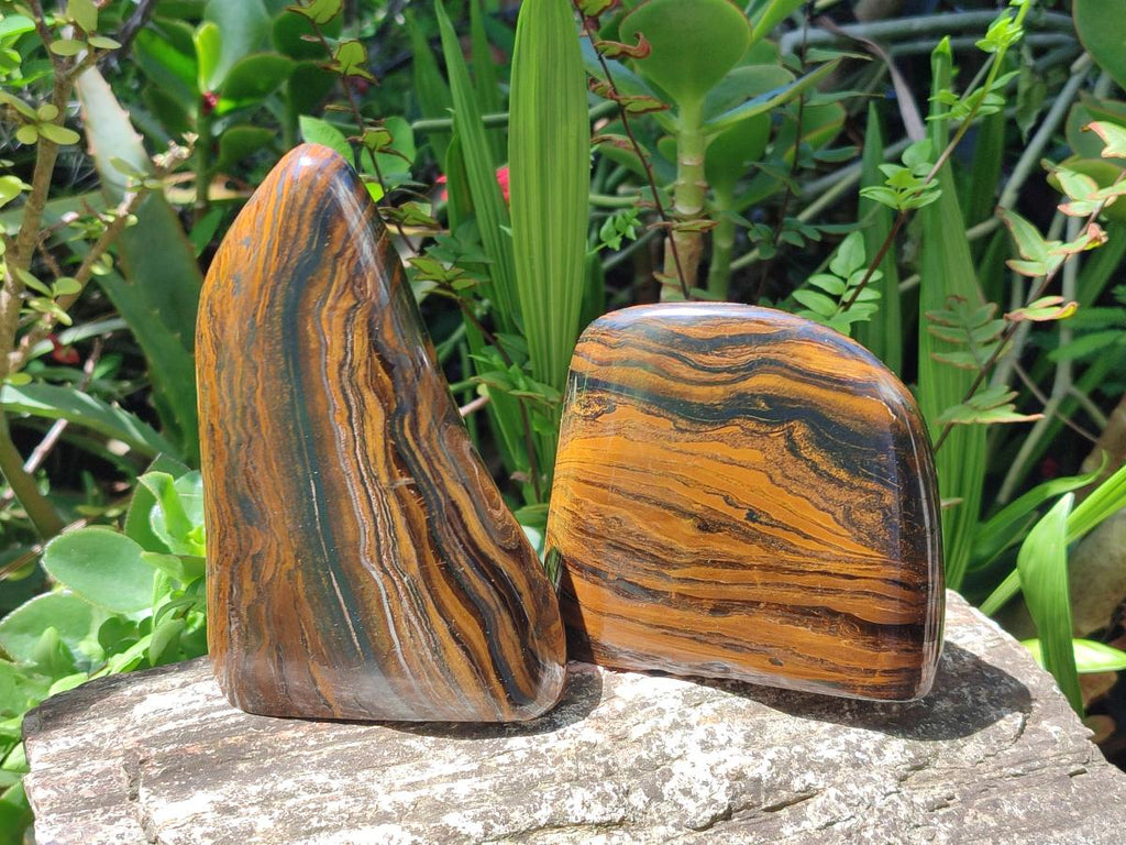Polished Golden Tigers Eye Standing Display Pieces x 2 From Prieska, South Africa