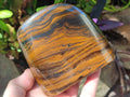 Polished Golden Tigers Eye Standing Display Pieces x 2 From Prieska, South Africa