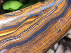 Polished Golden Tigers Eye Standing Display Pieces x 2 From Prieska, South Africa