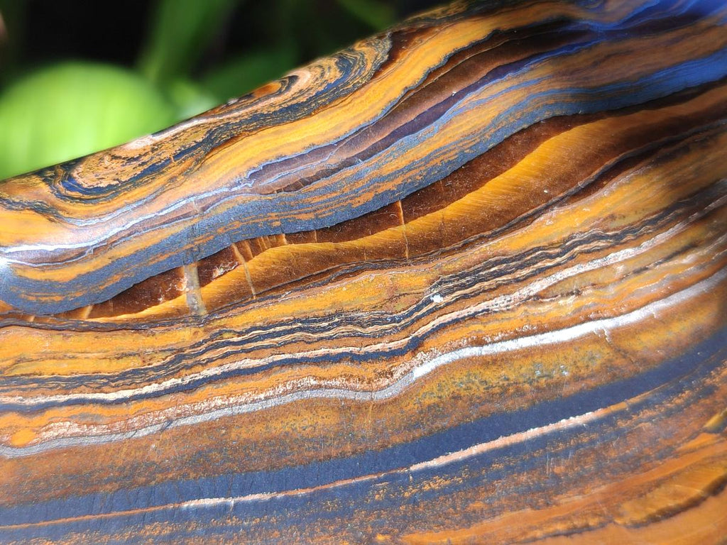 Polished Golden Tigers Eye Standing Display Pieces x 2 From Prieska, South Africa