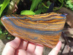 Polished Golden Tigers Eye Standing Display Pieces x 2 From Prieska, South Africa
