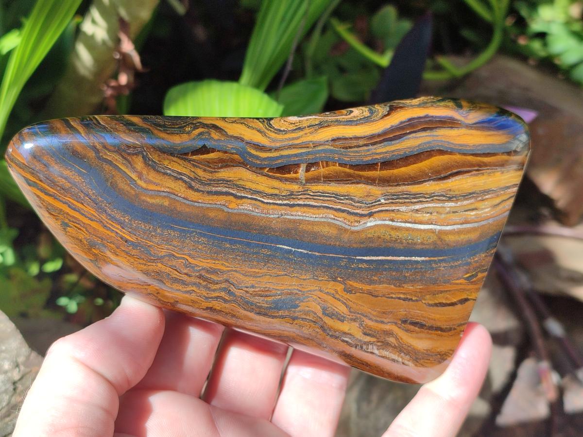 Polished Golden Tigers Eye Standing Display Pieces x 2 From Prieska, South Africa