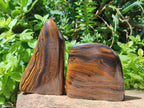 Polished Golden Tigers Eye Standing Display Pieces x 2 From Prieska, South Africa