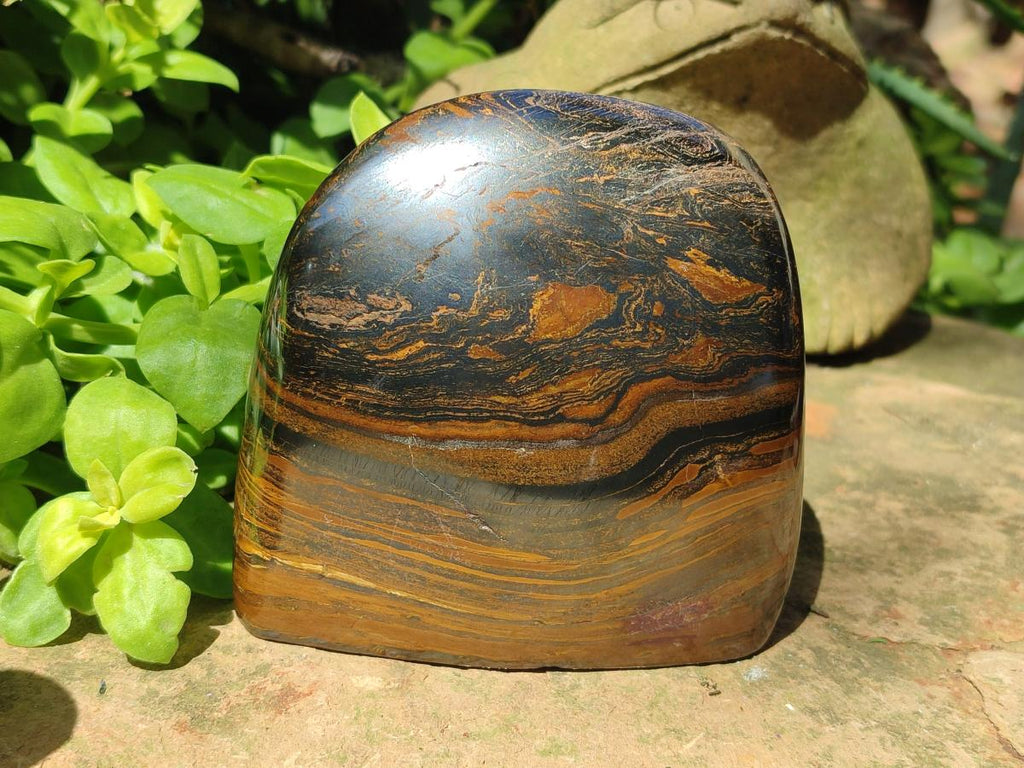 Polished Golden Tigers Eye Standing Display Pieces x 2 From Prieska, South Africa