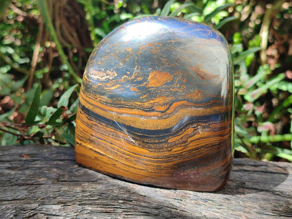 Polished Golden Tigers Eye Standing Display Pieces x 2 From Prieska, South Africa