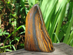 Polished Golden Tigers Eye Standing Display Pieces x 2 From Prieska, South Africa