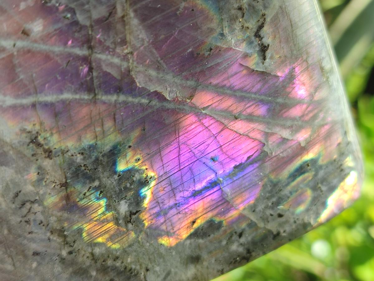 Polished Large Rare Purple Sunset Flash Labradorite Standing Display Piece x 1 From Madagascar