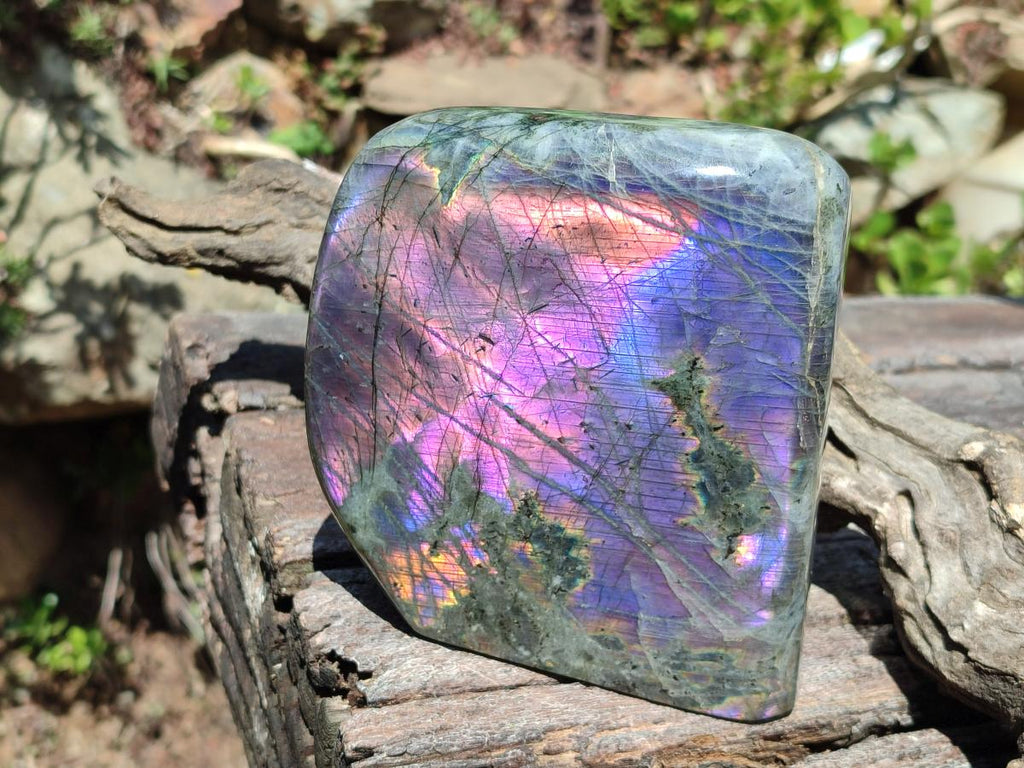 Polished Large Rare Purple Sunset Flash Labradorite Standing Display Piece x 1 From Madagascar