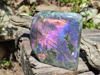 Polished Large Rare Purple Sunset Flash Labradorite Standing Display Piece x 1 From Madagascar