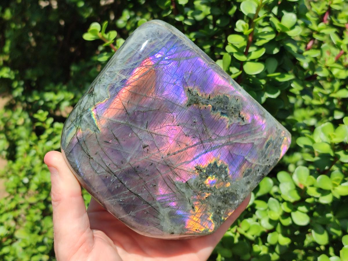 Polished Large Rare Purple Sunset Flash Labradorite Standing Display Piece x 1 From Madagascar