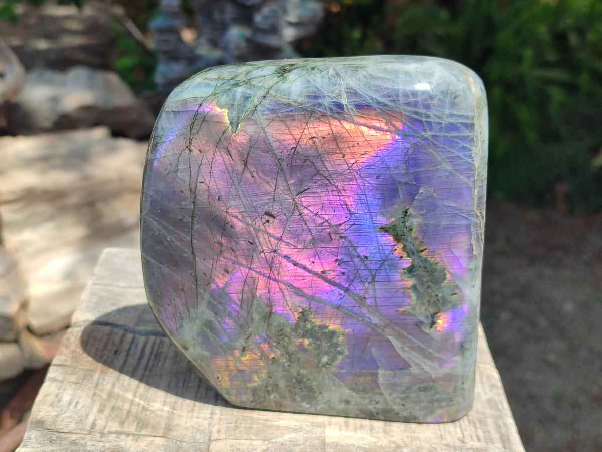 Polished Large Rare Purple Sunset Flash Labradorite Standing Display Piece x 1 From Madagascar