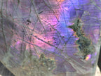 Polished Large Rare Purple Sunset Flash Labradorite Standing Display Piece x 1 From Madagascar