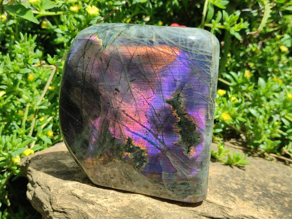 Polished Large Rare Purple Sunset Flash Labradorite Standing Display Piece x 1 From Madagascar