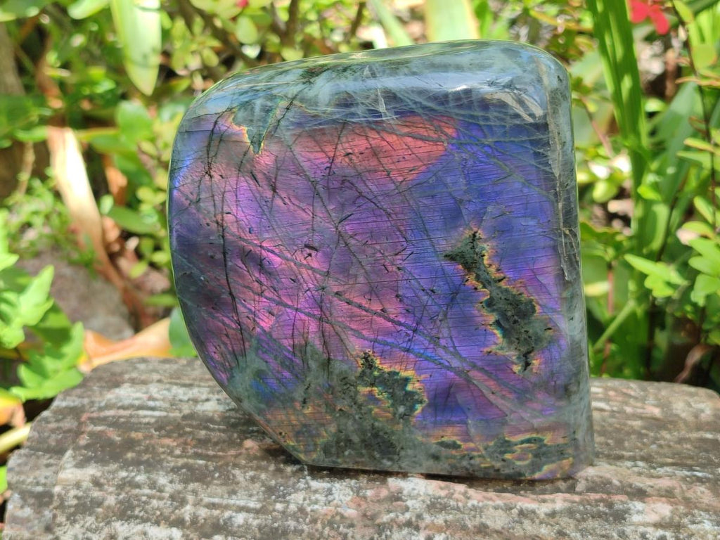 Polished Large Rare Purple Sunset Flash Labradorite Standing Display Piece x 1 From Madagascar
